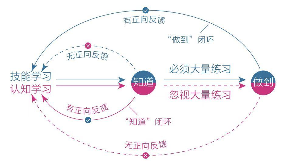 认知技能训练